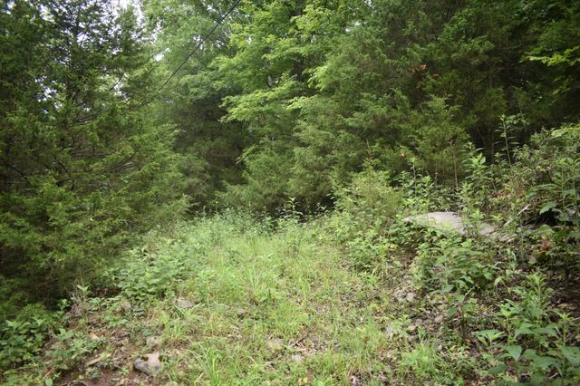 0 Ben Gentry Ln, Elmwood, TN 38560