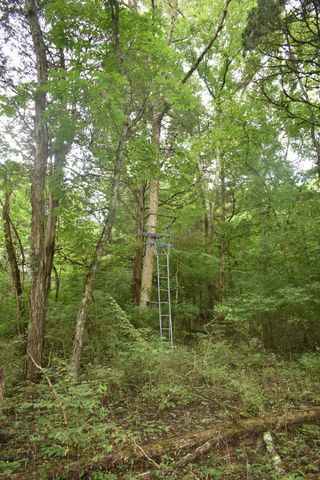 0 Ben Gentry Ln, Elmwood, TN 38560