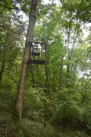 0 Ben Gentry Ln, Elmwood, TN 38560