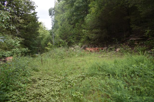 0 Ben Gentry Ln, Elmwood, TN 38560