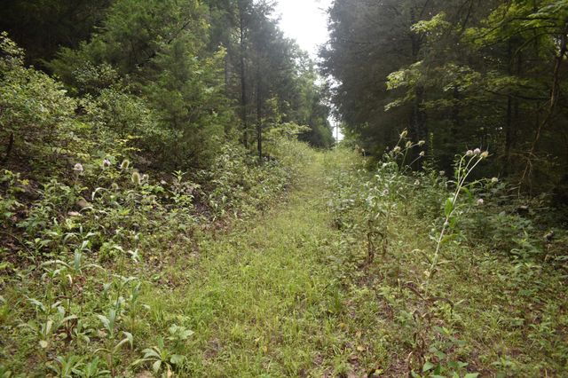 0 Ben Gentry Ln, Elmwood, TN 38560
