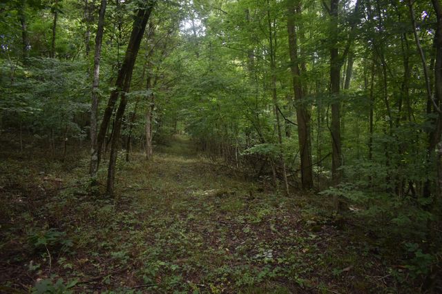 0 Ben Gentry Ln, Elmwood, TN 38560