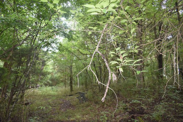 0 Ben Gentry Ln, Elmwood, TN 38560