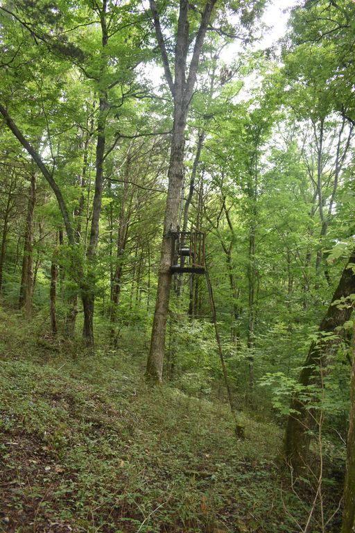 0 Ben Gentry Ln, Elmwood, TN 38560