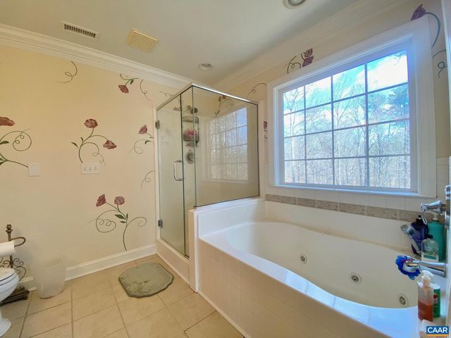 4605 BLUE RUN RD, Somerset, VA 22972