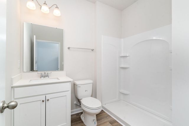 267 Hadley Springs Ave, Longs, SC 29568