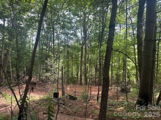 210/240 Gobbler Circle 19/21, Horse Shoe, NC 28742