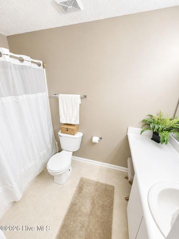 4607 White Ibis Court, Wilmington, NC 28412
