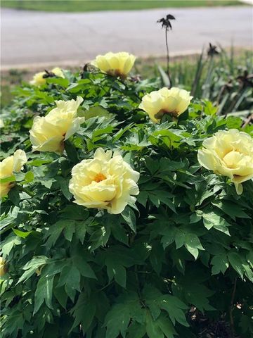 13808 Norby Road, Grandview, MO 64030