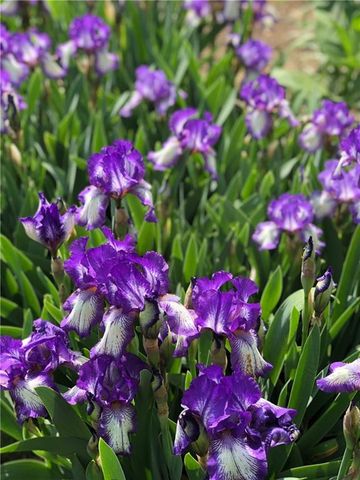 13808 Norby Road, Grandview, MO 64030