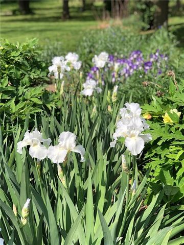 13808 Norby Road, Grandview, MO 64030