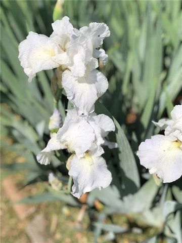 13808 Norby Road, Grandview, MO 64030