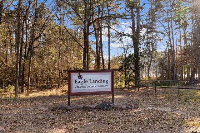 80 County Road 1597, Avinger, TX 75630