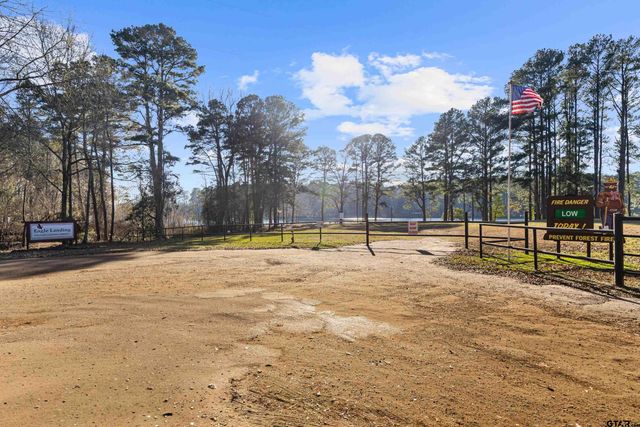 80 County Road 1597, Avinger, TX 75630