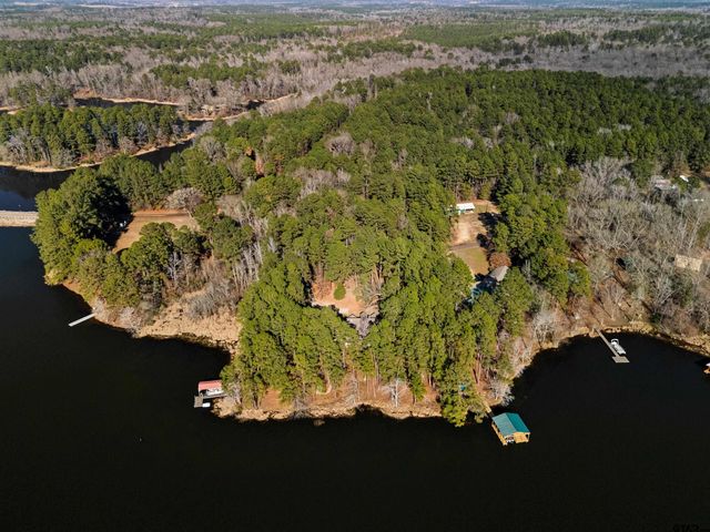 80 County Road 1597, Avinger, TX 75630