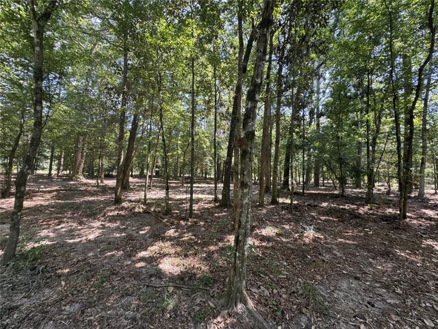 TBD Cr 3141 W Road, Cleveland, TX 77327