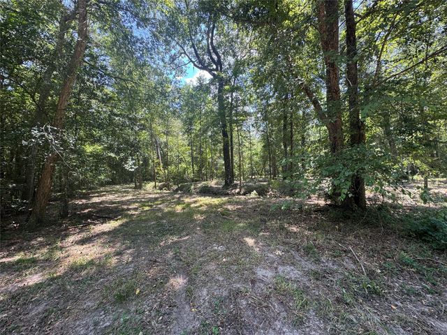 TBD Cr 3141 W Road, Cleveland, TX 77327
