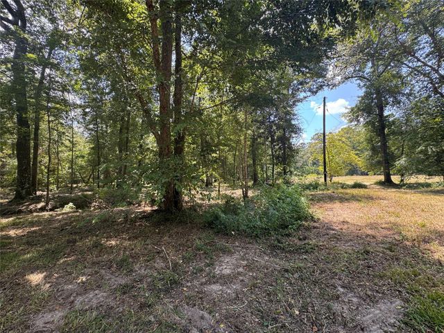 TBD Cr 3141 W Road, Cleveland, TX 77327