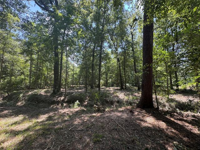 TBD Cr 3141 W Road, Cleveland, TX 77327