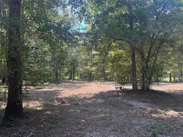 TBD Cr 3141 W Road, Cleveland, TX 77327