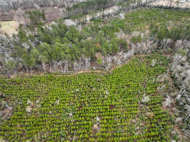 1 Fm 2626, Newton, TX 75966