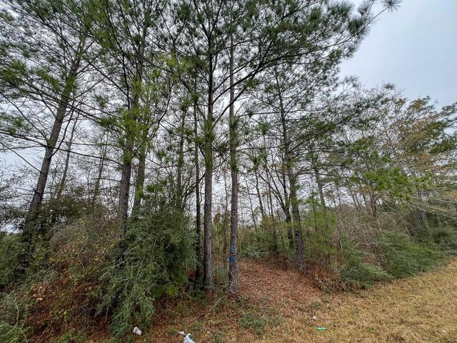 1 Fm 2626, Newton, TX 75966