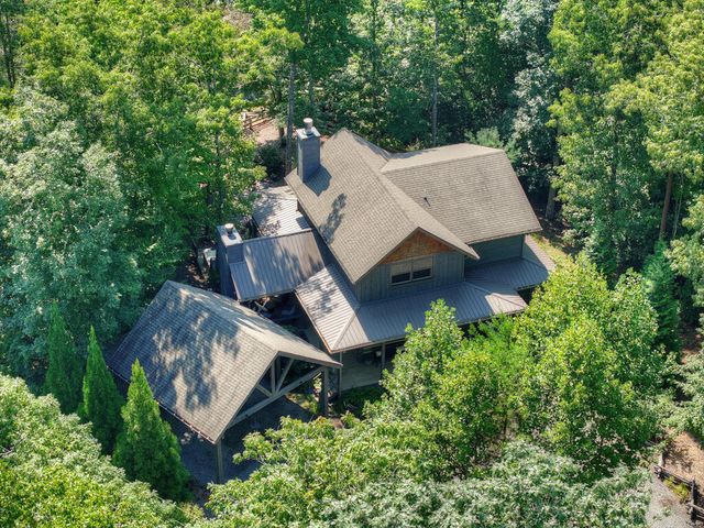 199 Hiawatha Trail N, Blue Ridge, GA 30513