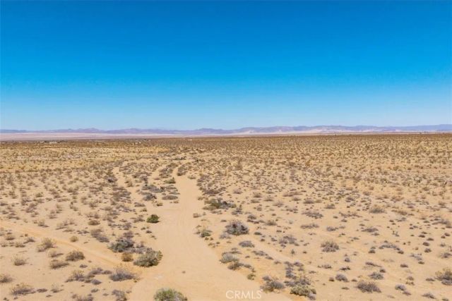 411 Willie, Joshua Tree, CA 92252