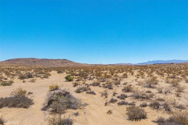 411 Willie, Joshua Tree, CA 92252
