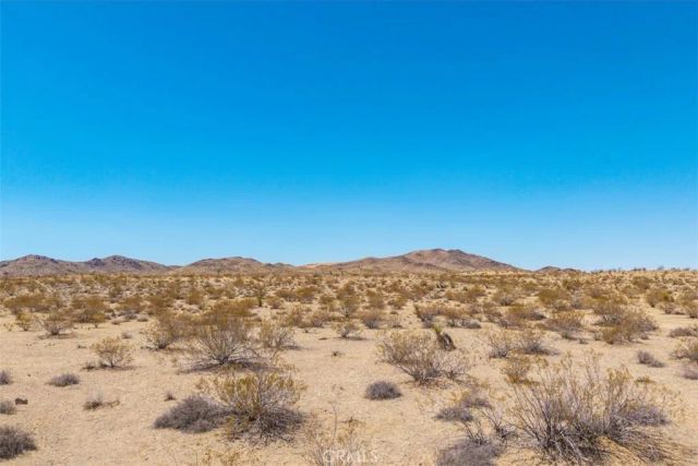 411 Willie, Joshua Tree, CA 92252