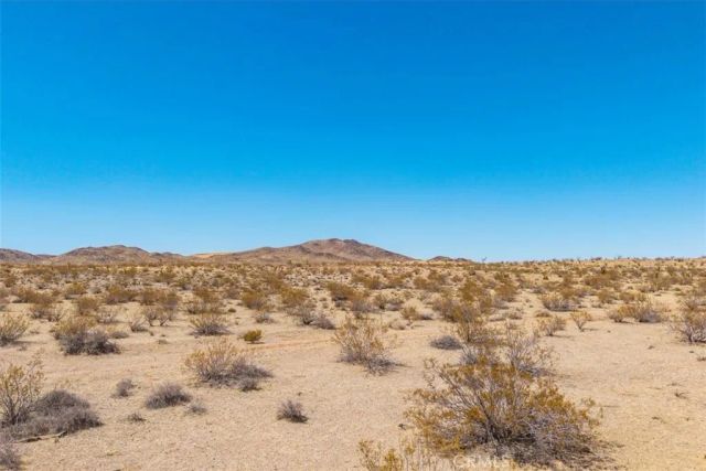 411 Willie, Joshua Tree, CA 92252