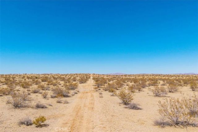 411 Willie, Joshua Tree, CA 92252