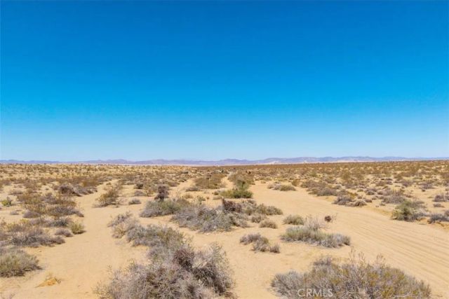 411 Willie, Joshua Tree, CA 92252