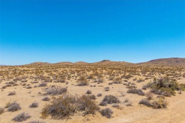 411 Willie, Joshua Tree, CA 92252