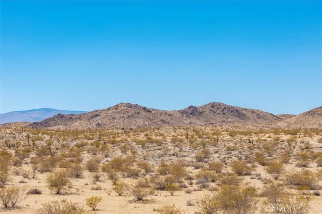 411 Willie, Joshua Tree, CA 92252