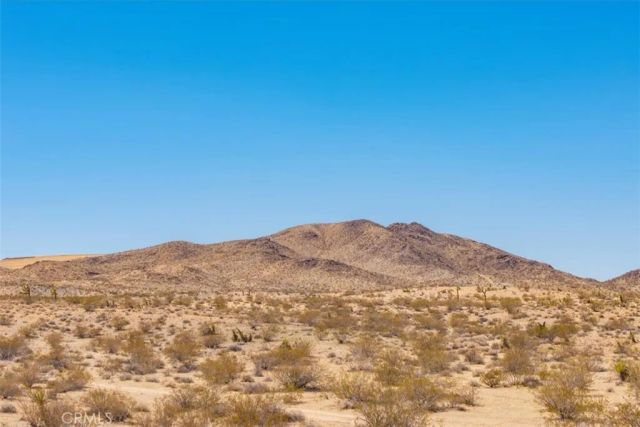 411 Willie, Joshua Tree, CA 92252