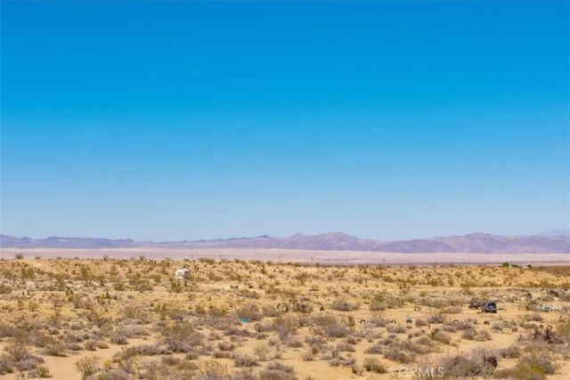 411 Willie, Joshua Tree, CA 92252