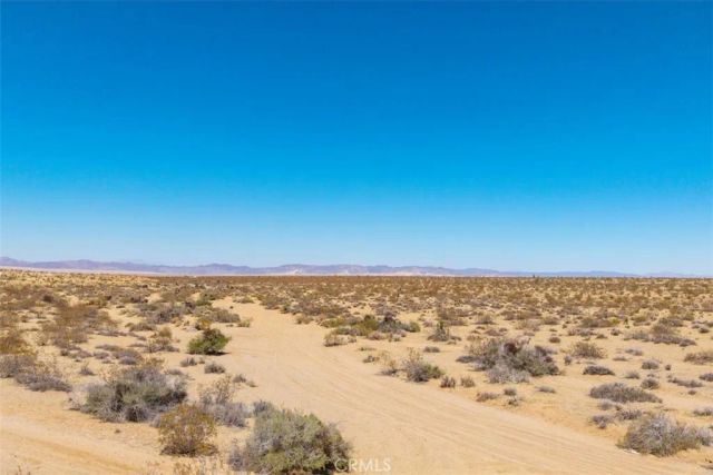 411 Willie, Joshua Tree, CA 92252