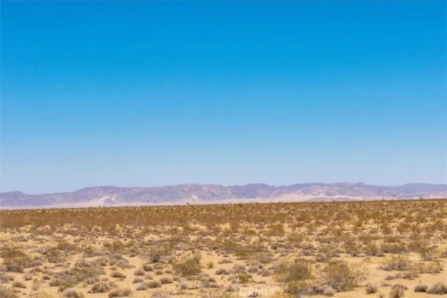 411 Willie, Joshua Tree, CA 92252