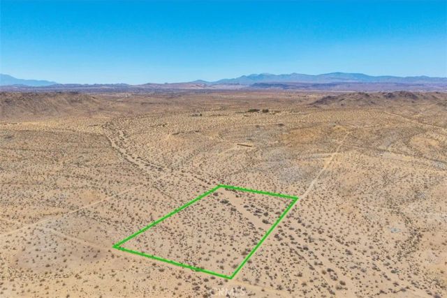 411 Willie, Joshua Tree, CA 92252