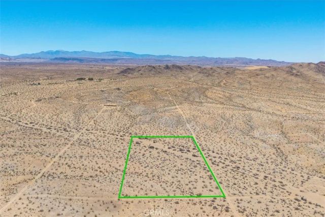 411 Willie, Joshua Tree, CA 92252