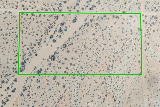 411 Willie, Joshua Tree, CA 92252