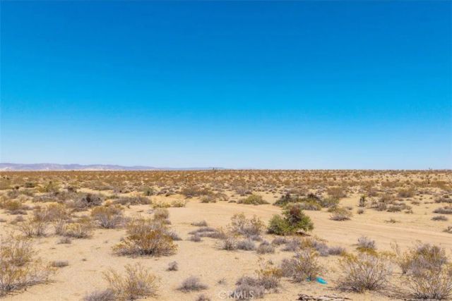 411 Willie, Joshua Tree, CA 92252