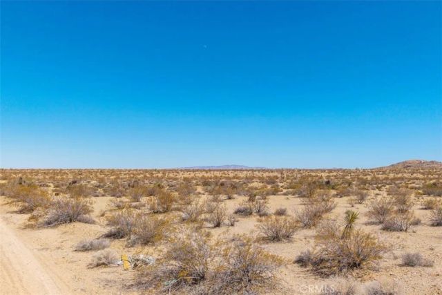 411 Willie, Joshua Tree, CA 92252