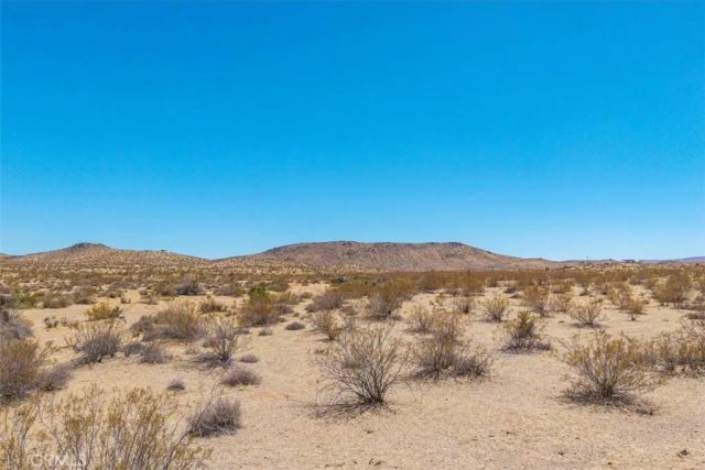 411 Willie, Joshua Tree, CA 92252