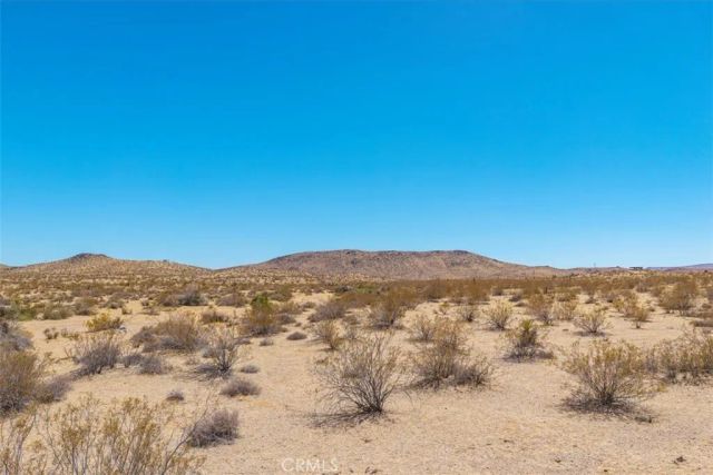 411 Willie, Joshua Tree, CA 92252