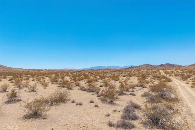 411 Willie, Joshua Tree, CA 92252