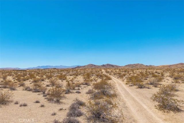 411 Willie, Joshua Tree, CA 92252