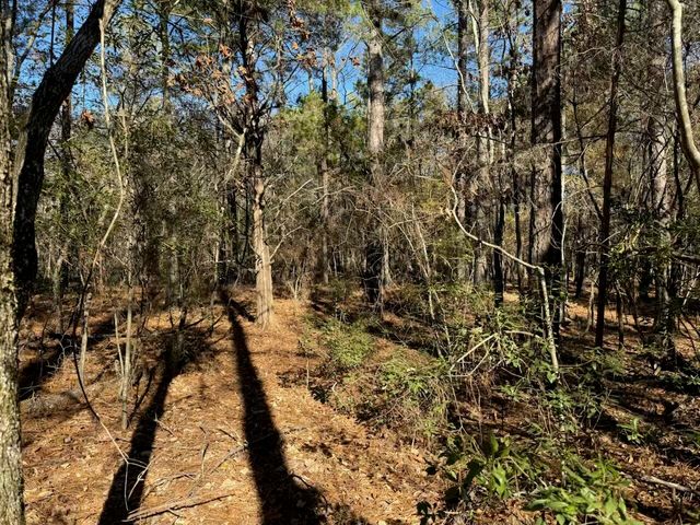 0 Pineywoods Road, Lincolnton, GA 30817