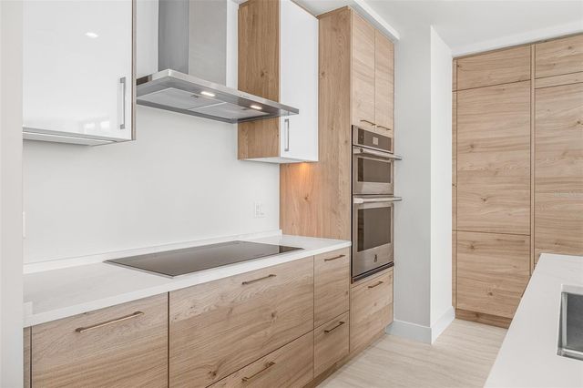 301 1ST STREET S 1006, St Petersburg, FL 33701